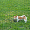 Produktminiatyrbild 2 av 2