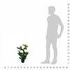 Produktminiatyrbild 3 av 3
