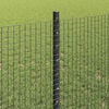 Produktminiatyrbild 4 av 13