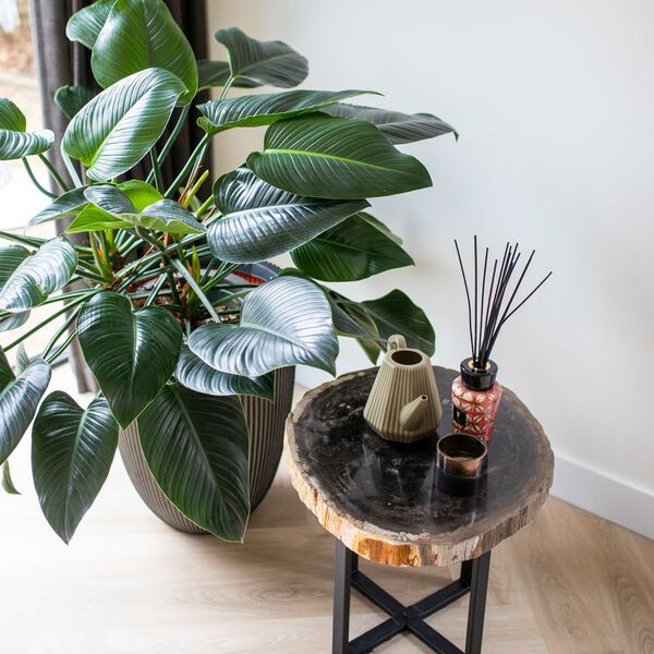 Capi Vas elegant Groove 34x46 cm antracitgr&aring;