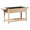 vidaXL Tr&auml;dg&aring;rdsplanterare Beige 155 x 59 x 76,5 cm Massivt Furu