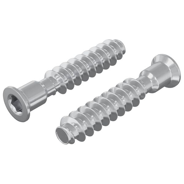 vidaXL Huvudkapskruv 2 pcs Silver M7 x 40 mm St&aring;l