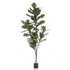 Emerald Konstv&auml;xt fiolfikus 160 cm