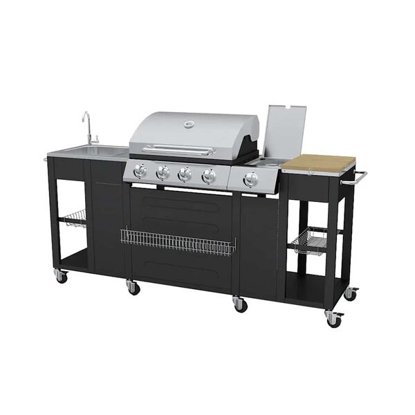 vidaXL Gasolgrill 4+1 kokzoner inkl. slang