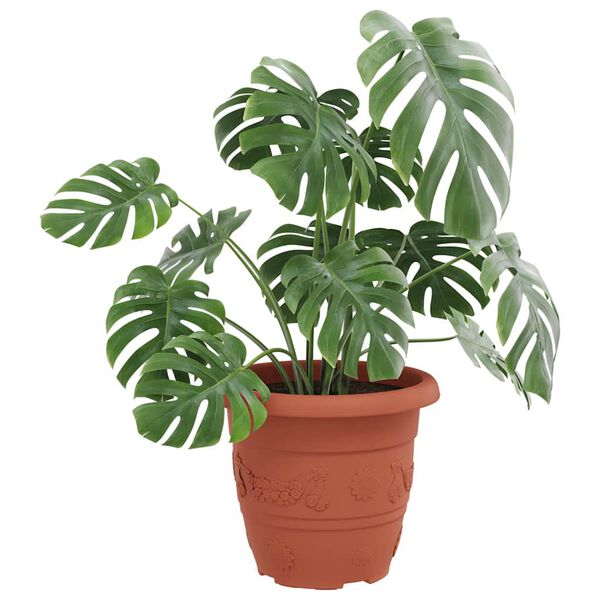 vidaXL Rund Blomkruka 24 pcs Murgr&ouml;n &Oslash; 26 x 21.5 cm Plast