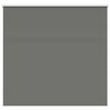 vidaXL Rullgardin m&ouml;rkl&auml;ggning gr&aring; 165x150 cm tyg bredd 161,6 cm