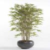 Emerald Konstv&auml;xt japansk bambu 150 cm