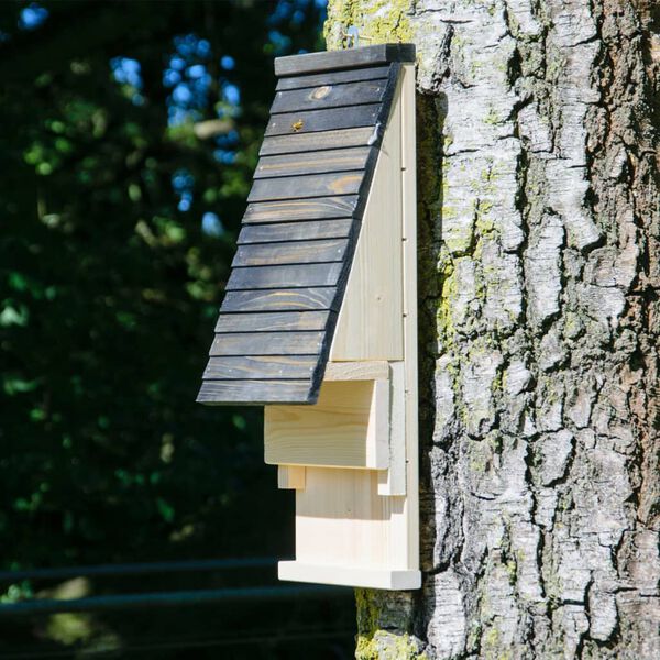 dobar green label Fladdermusholk naturlig och svart