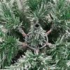 Produktminiatyrbild 7 av 9