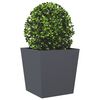 Produktminiatyrbild 4 av 12