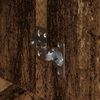 Produktminiatyrbild 9 av 12