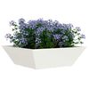 Produktminiatyrbild 3 av 13
