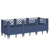 Blue_grey