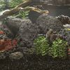 Produktminiatyrbild 2 av 5