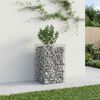 vidaXL Gabion upph&ouml;jd s&auml;ng Silver 50 x 50 x 80 cm Galvaniserat St&aring;l