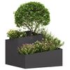 Produktminiatyrbild 3 av 12
