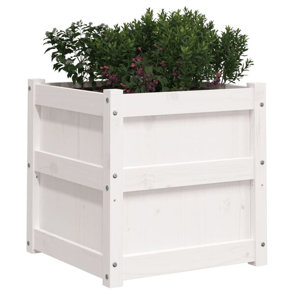 Visar produktbild 4 av 12