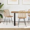 vidaXL Matstol 2 pcs Naturfärg 44.5 x 55 x 85 cm Rattan och Järn