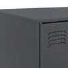 Produktminiatyrbild 10 av 14