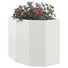 Produktminiatyrbild 3 av 12