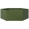 SteelGreen