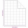 vidaXL Duntäcke Vit 260 x 220 cm Fjäder