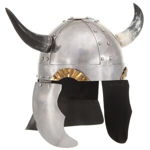 vidaXL Fantasibaserad vikingahj&auml;lm f&ouml;r LARP silver st&aring;l
