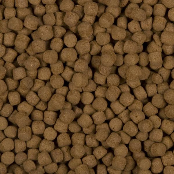 Sanikoi Excellent All-round fiskmat 4500 g