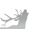Produktminiatyrbild 3 av 6