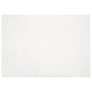 vidaXL Fusk-kaninp&auml;lsmatta Olite Vit 120 x 170 cm Polyester