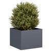Produktminiatyrbild 2 av 9
