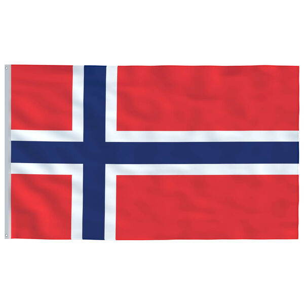 vidaXL Norges flagga och flaggst&aring;ng 6,23 m aluminium