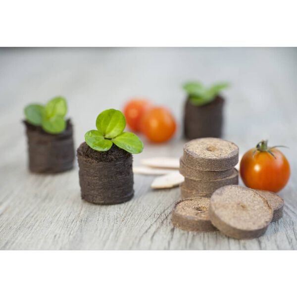 Nature Miniv&auml;xthus 106 delar startkit