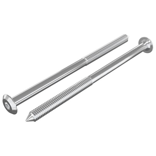 vidaXL M&ouml;belskruvar 2 pcs Silver M6 x 100 mm St&aring;l