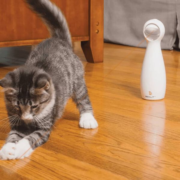 PetSafe Automatiskt laserljus FroliCat Bolt vit