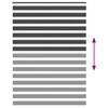 vidaXL Rullgardin zebra svart 155x230 cm tyg bredd 150,9 cm polyester