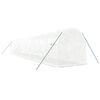 vidaXL V&auml;xthus med st&aring;lram vit 24 m&sup2; 12x2x2 m