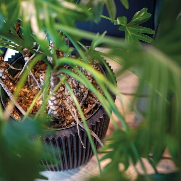 Capi Vas elegant Groove 34x46 cm svart