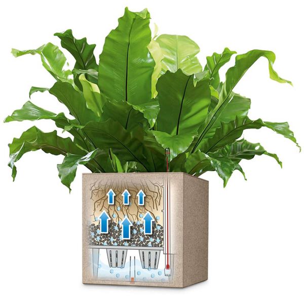 LECHUZA Blomkruka Canto Color Square 40 ALL-IN-ONE beige 13721