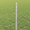 Produktminiatyrbild 4 av 13
