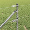 Produktminiatyrbild 3 av 13