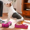 FitPAWS Balansplatta f&ouml;r husdjur Mini K9FITbone 2-pack 29x16,5x6 cm