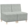 vidaXL Modulsofa utan armst&ouml;d 2 pcs Ljusgr&aring; 55 x 74 x 82 cm Sammet