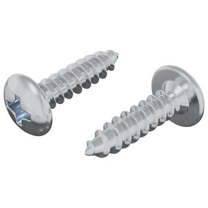 vidaXL Skruv 2 pcs Silver M4 x 16 mm St&aring;l