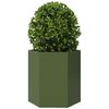 Produktminiatyrbild 3 av 10