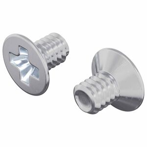 vidaXL F&ouml;rs&auml;nkta huvuds&auml;ttningar 2 pcs Silver M4 x 6 mm St&aring;l