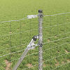 Produktminiatyrbild 4 av 15