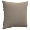 vidaXL Sofakuddar 2 pcs Taupe 50 x 50 cm tyg
