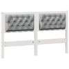 White_and_light_grey