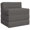 vidaXL F&auml;llbar Soffbed Ljusgr&aring; 200 x 70 x 10 cm Tyg